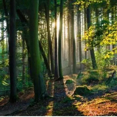 Auszeit Im Grünen Arnsberg