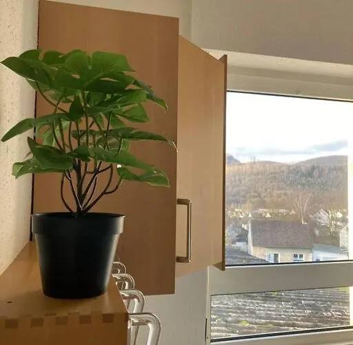 Auszeit Im Gruenen Lejlighed Arnsberg